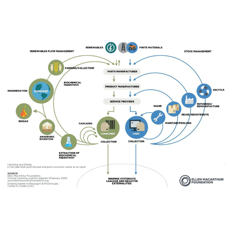 Butterfly diagram