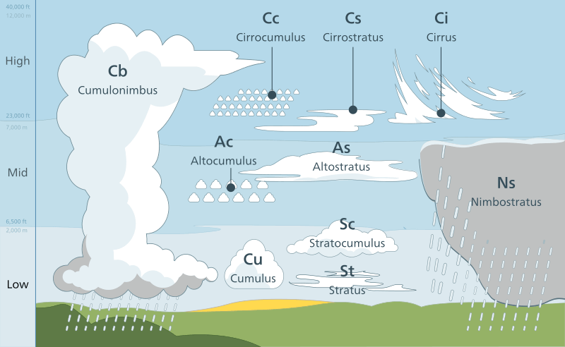 Classification