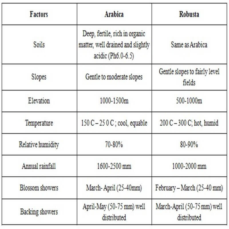 Coffee types