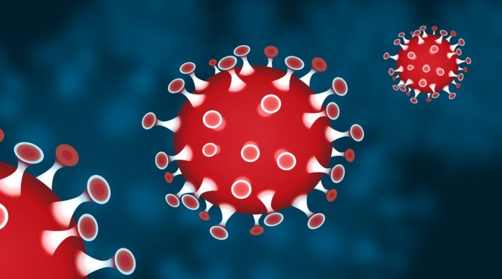 What is coronavirus or covid-19?