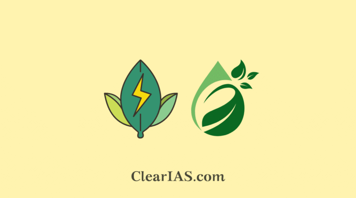 Decentralized Bioenergy Systems