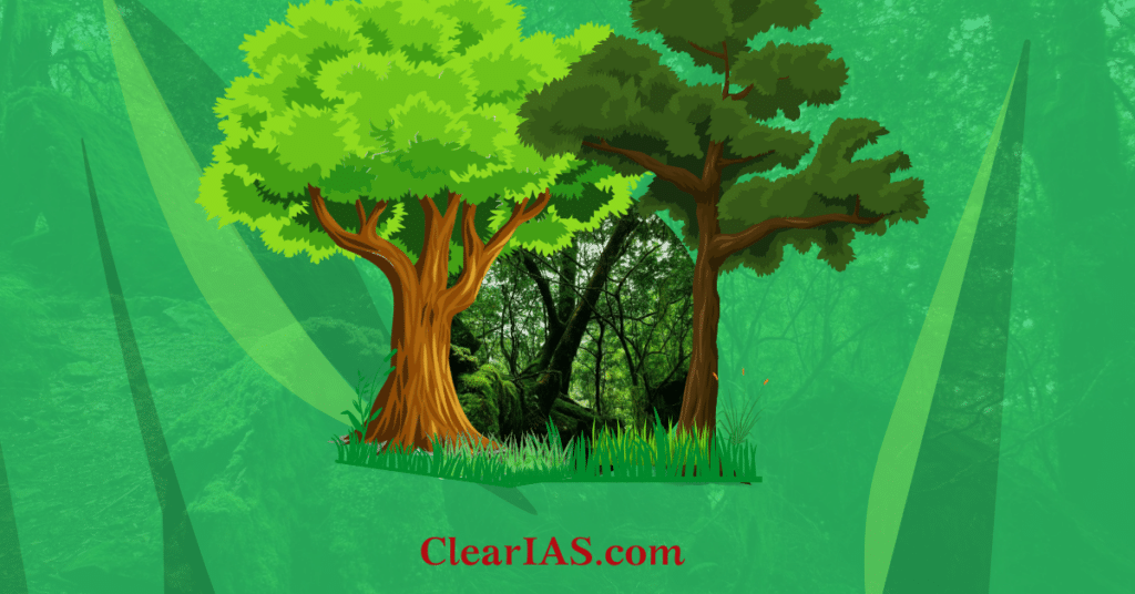 forest-know-the-different-types-clearias