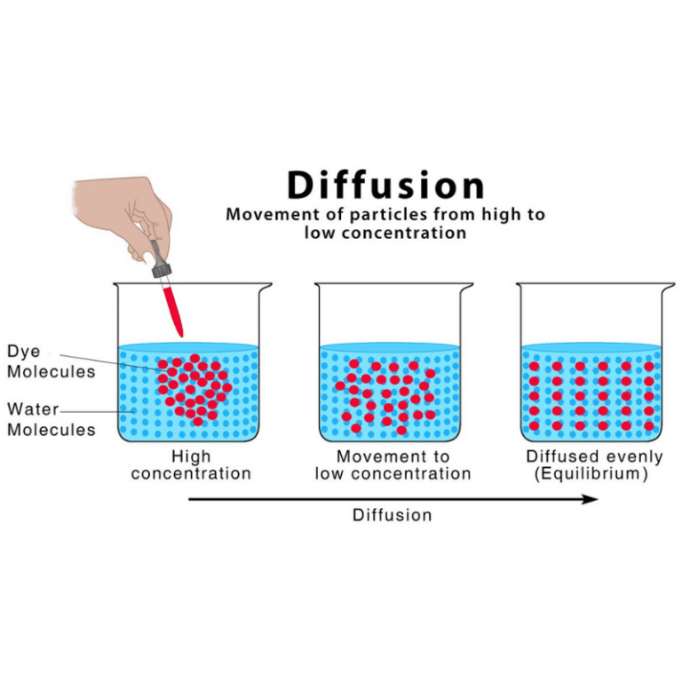 Osmosis and reverse osmosis clearias