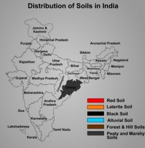 understand qn given soils