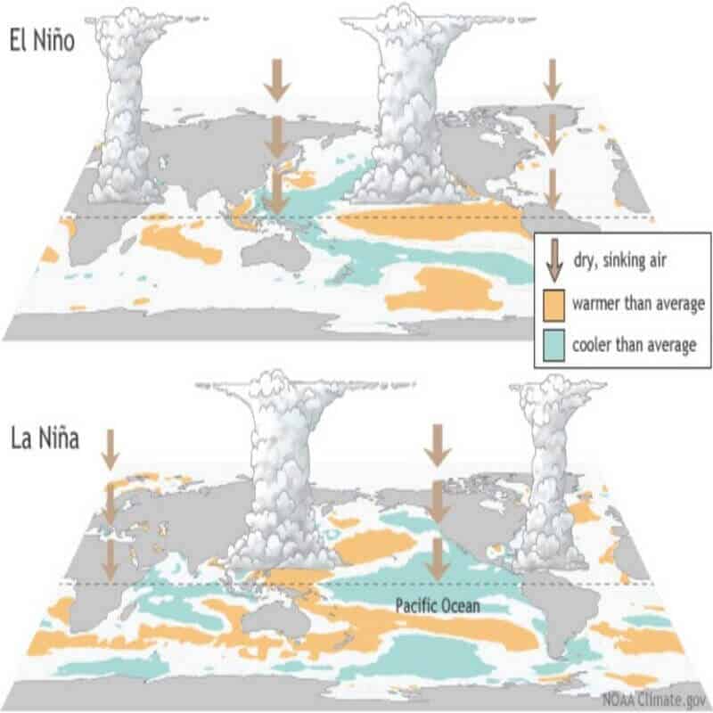 el nino essay