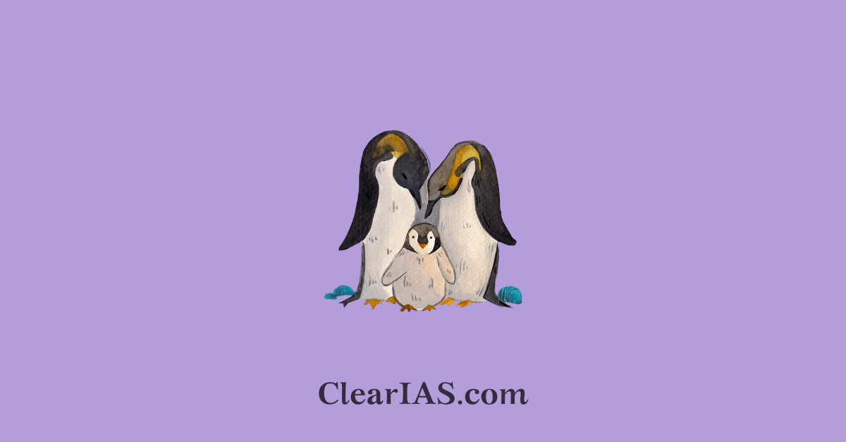 Emperor Penguins