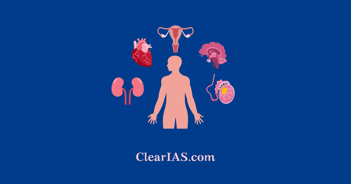 Endocrine Glands and Hormones