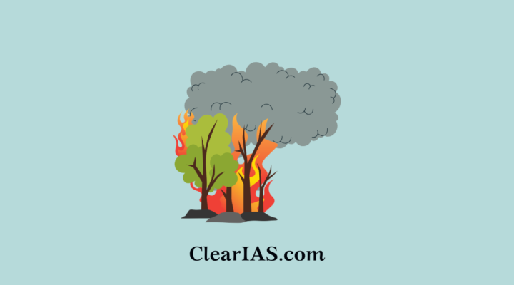Europe's Wildfires Climate Whiplash, Fire Clouds (PyroCb) and Emerging Fire