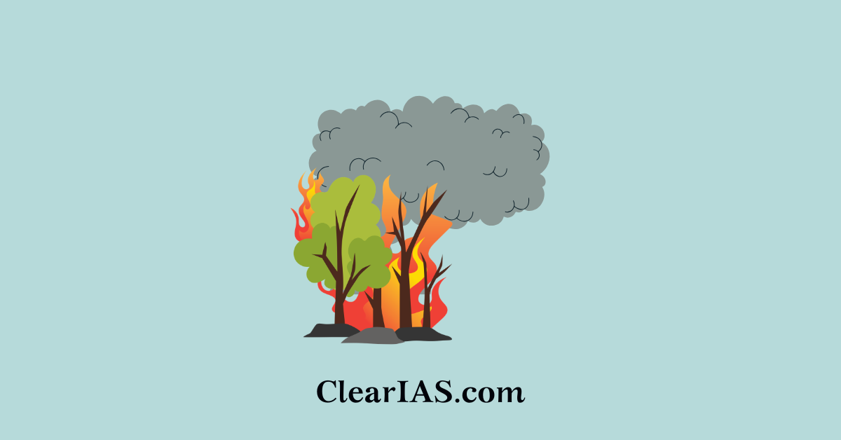 Europe's Wildfires Climate Whiplash, Fire Clouds (PyroCb) and Emerging Fire