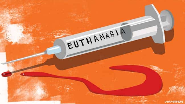 pro euthanasia research paper