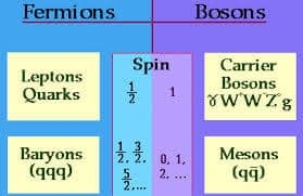 Fermions and Bosons