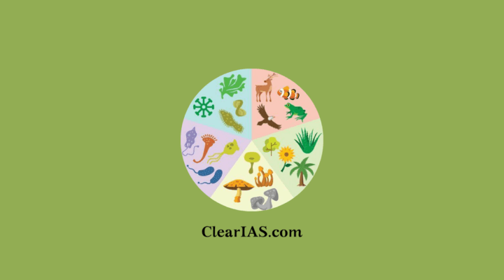 Five kingdom classification of animals and plants