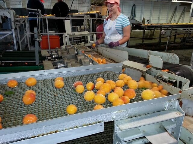 Food Processing Industries