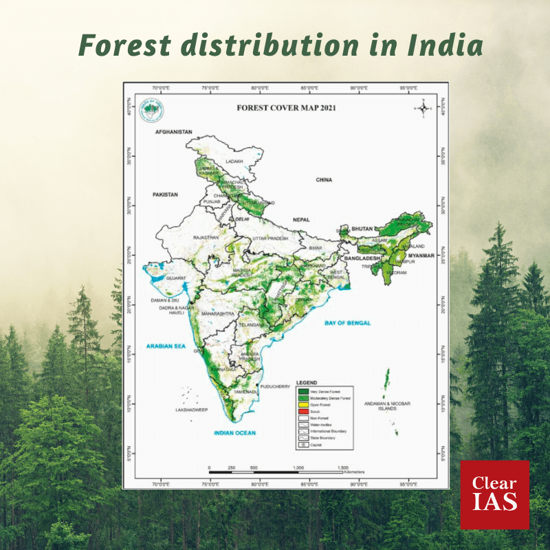 Types Of Forests ClearIAS