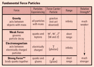the w + and w - are exchange particles for four fundamental forces strongest to weakest
