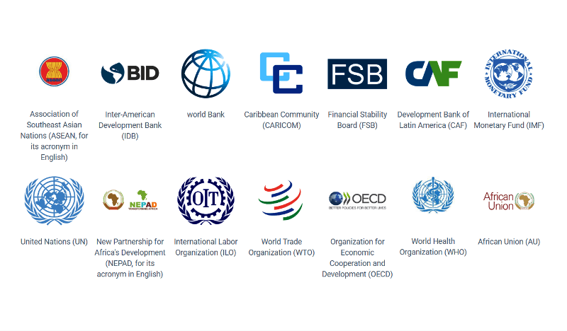 G20 partner organisations