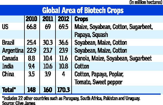 GM Crops