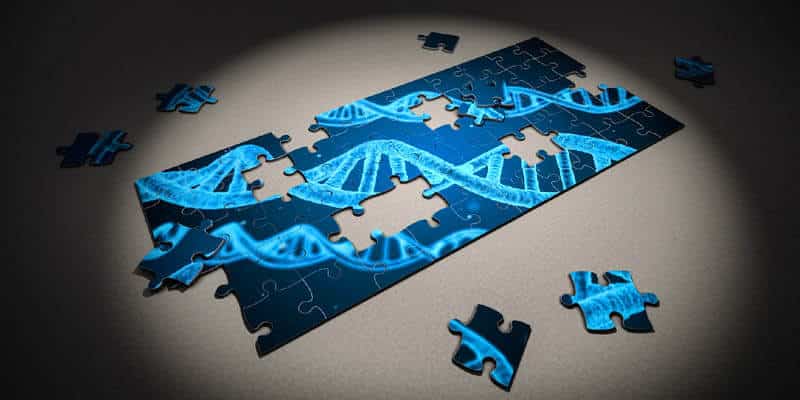 Gene Editing Technology