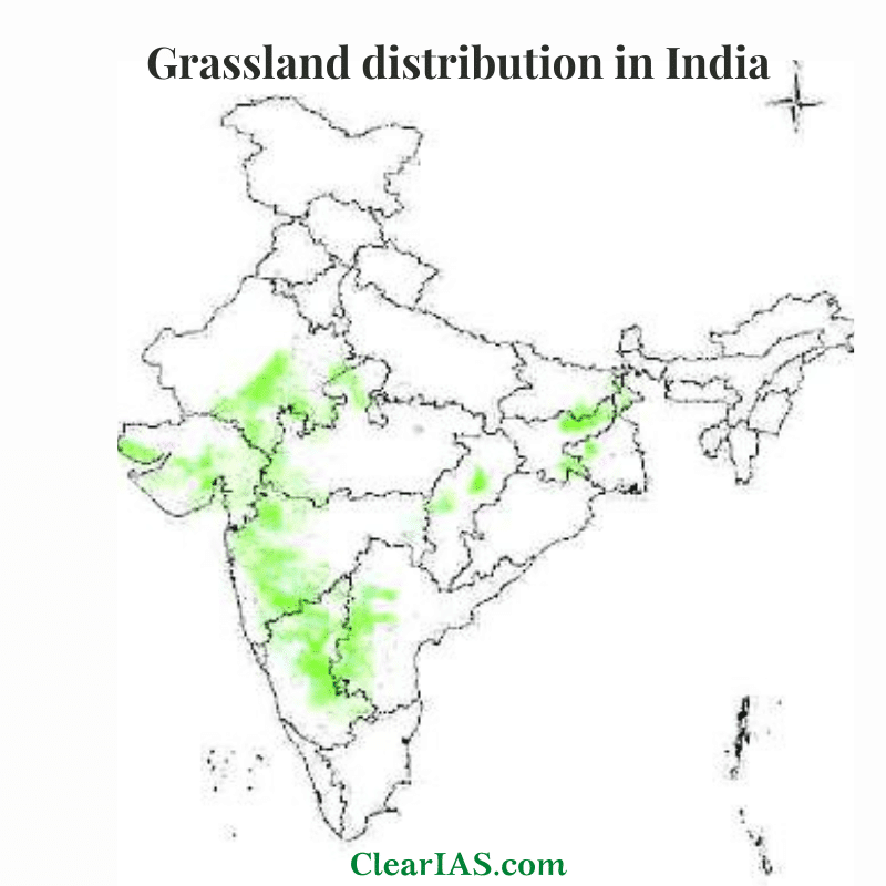Grasslands Types Features And Significance ClearIAS
