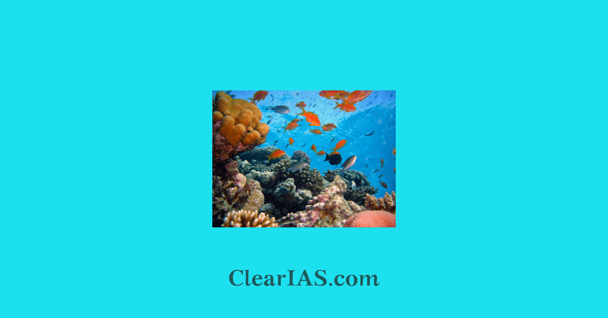 High Seas Treaty