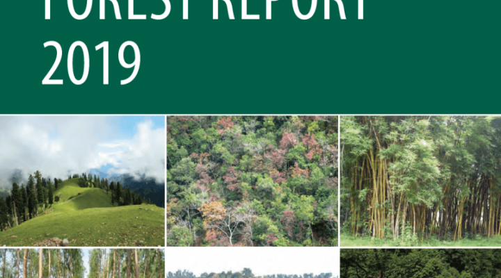 India State of Forest Report 2019