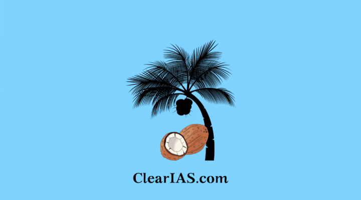 India's Coconut Sector