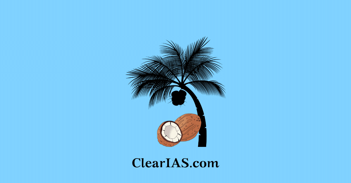 India's Coconut Sector