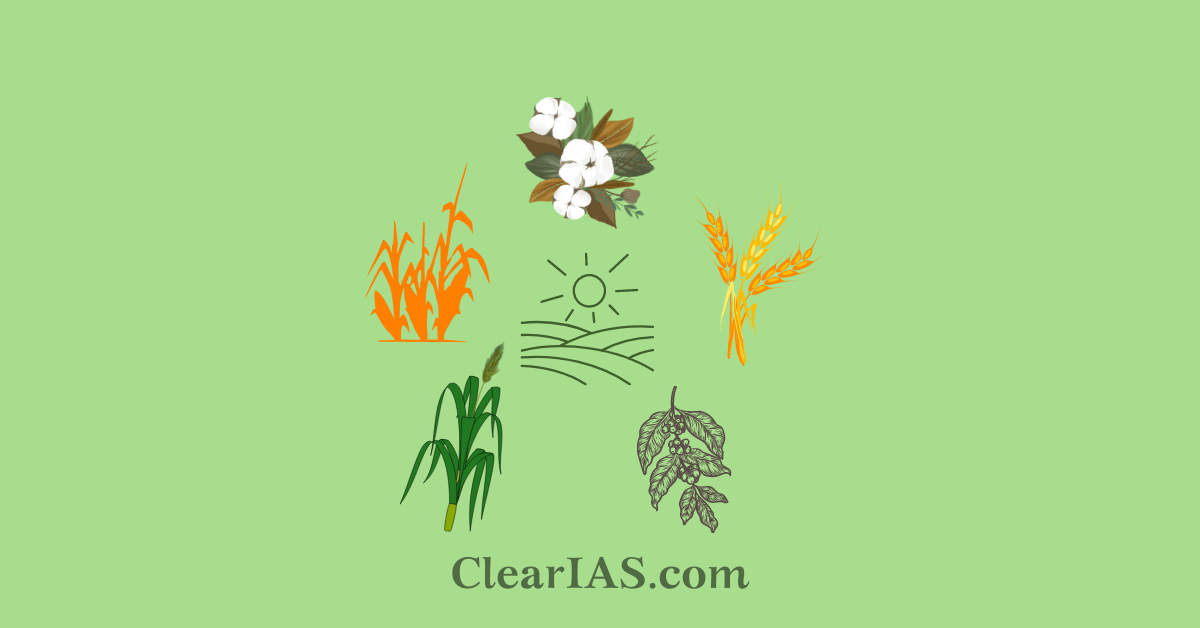 Various Seasons In India Seasons In India Essay 2022 10 10 various-seasons-in-india-seasons-in-india-essay-2022-10-10