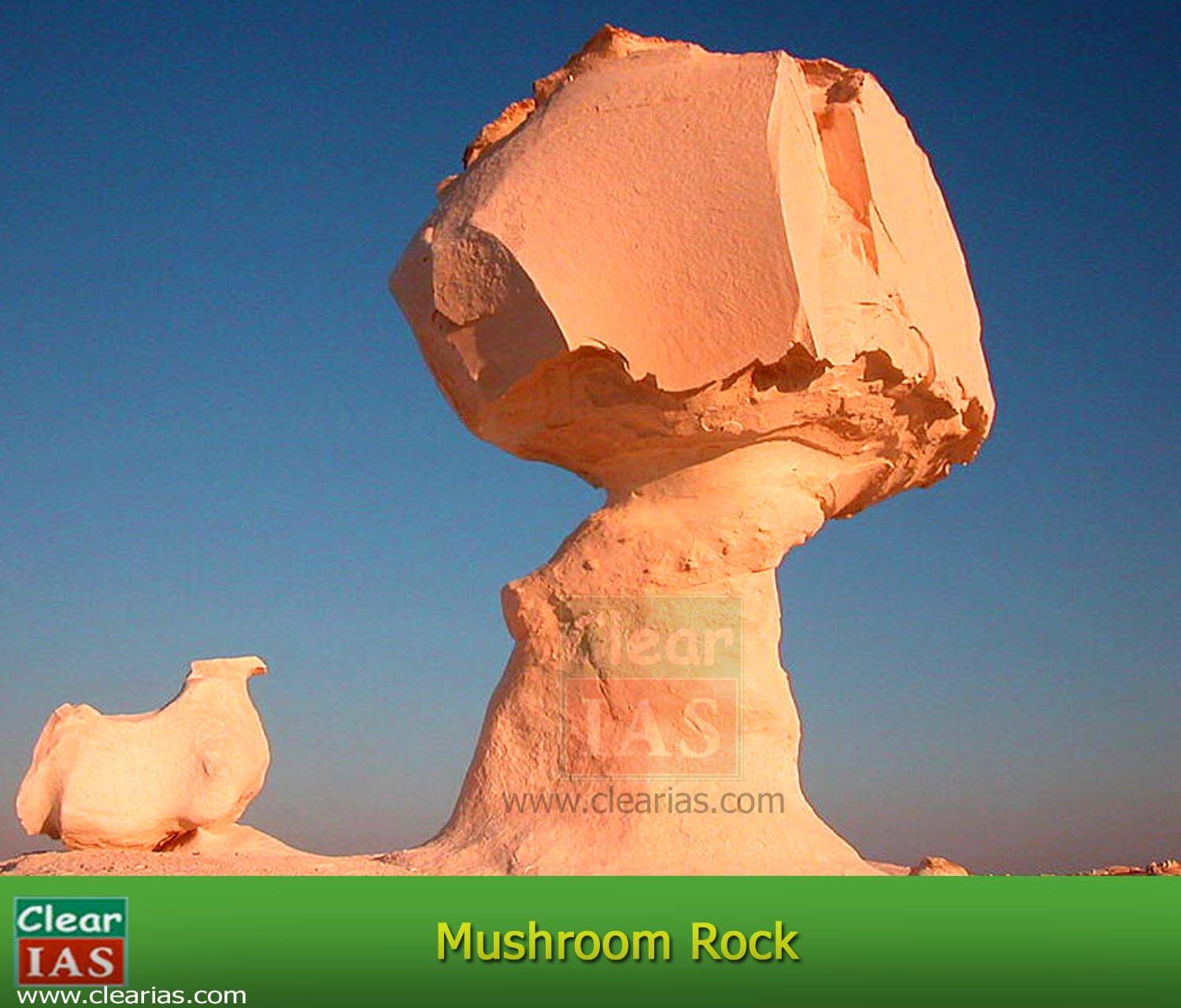 Mushroom Rock or Mushroom Table 