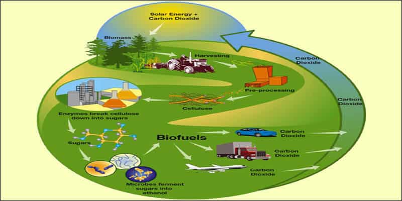 National Policy on Biofuels