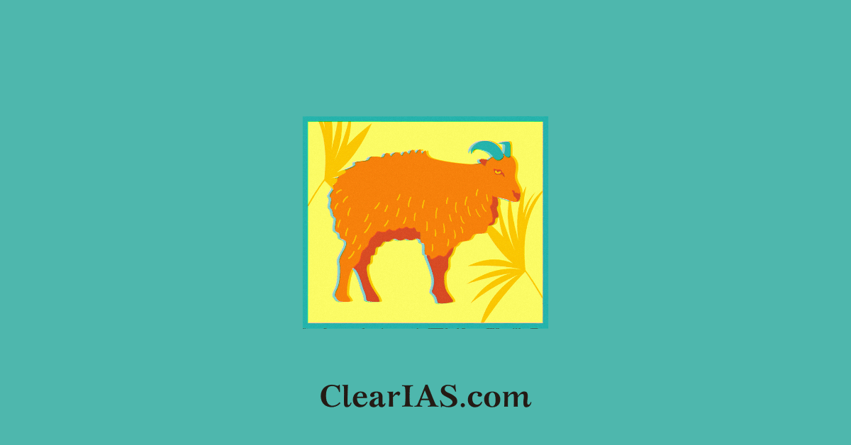 Nilgiri Tahr