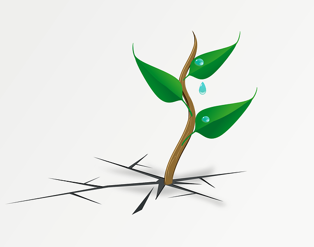 North India-South India Divide – Is there a Growing Regional Divide in India?