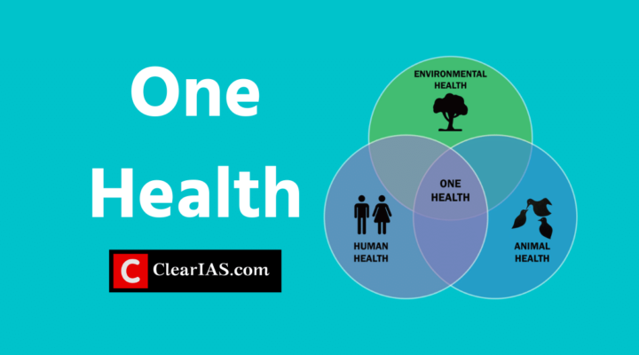 One Health Concept