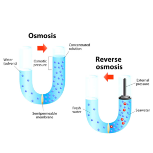 Osmosis And Reverse Osmosis Clearias Osmosis And Reverse Osmosis Clearias
