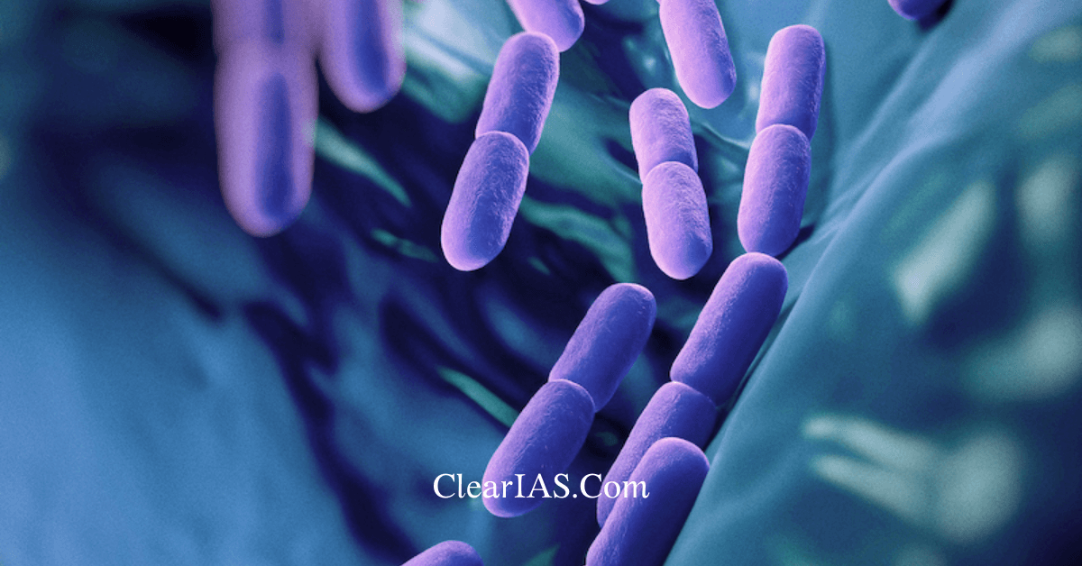 Probiotics