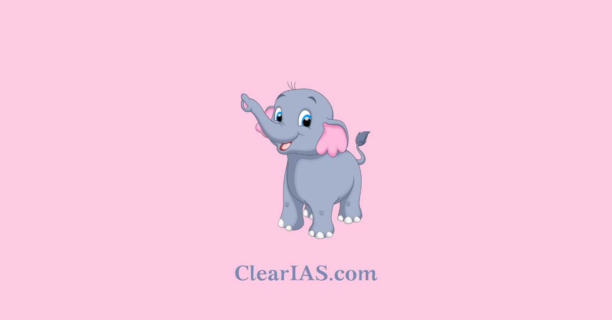 Project Elephant: All About Elephants - ClearIAS
