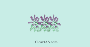 Purple Revolution and Aroma Mission - ClearIAS