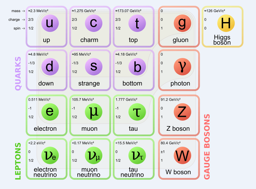 Standard Particle Model