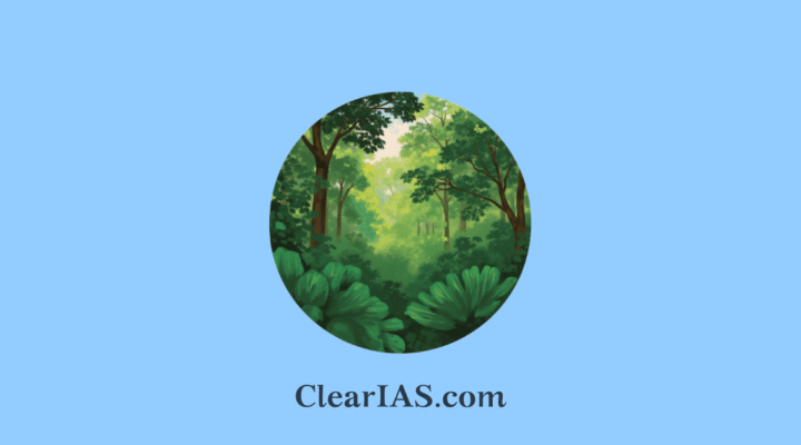Restoration of Sacred Groves (Kavus) in Kerala