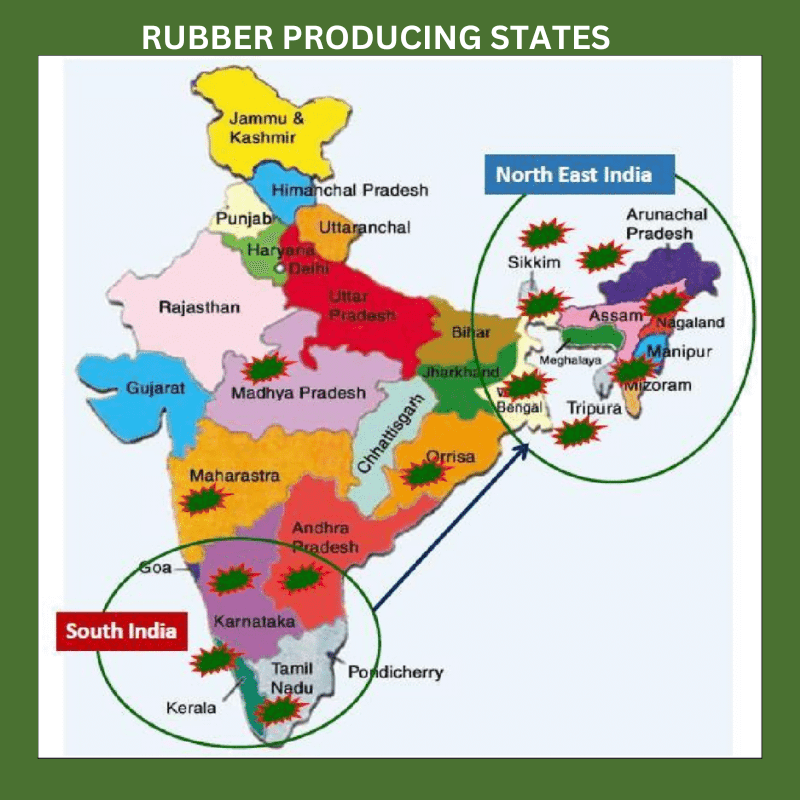 Rubber producing states 