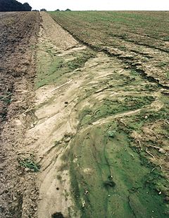 Soil Erosion