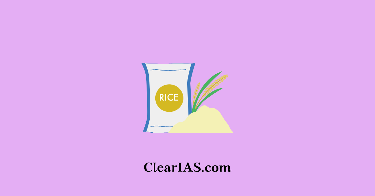 Rice Intensification