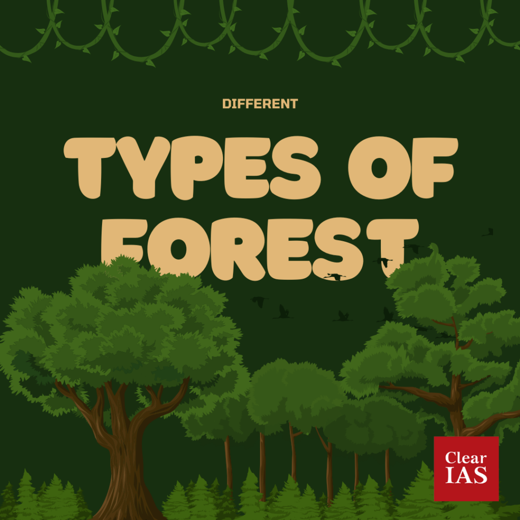 Forest Know The Different Types ClearIAS