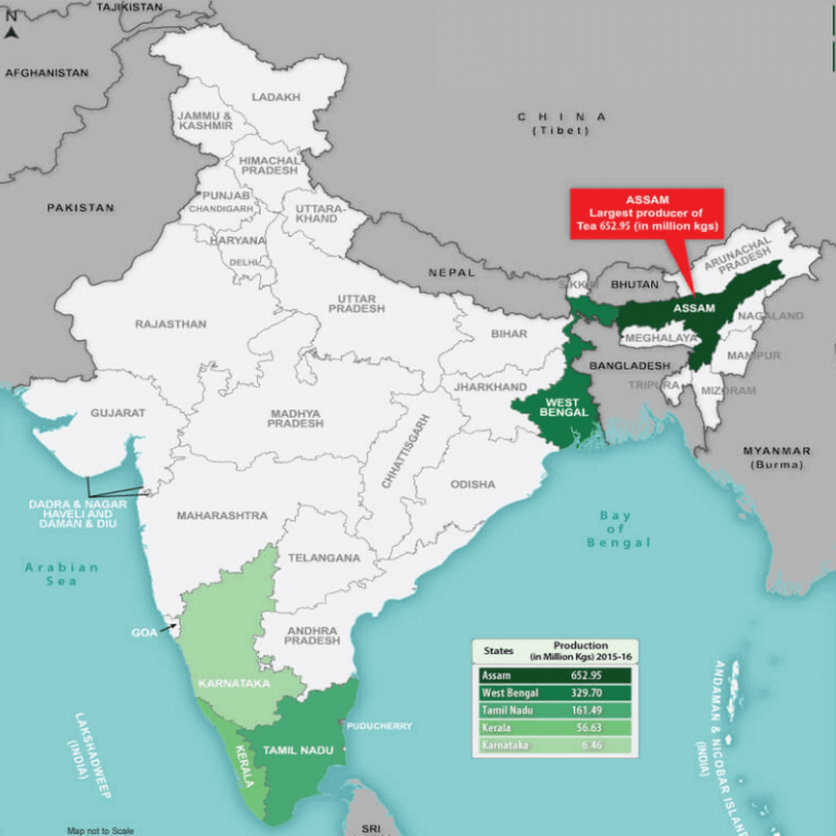 Tea industry in india clearias