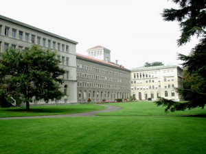 WTO