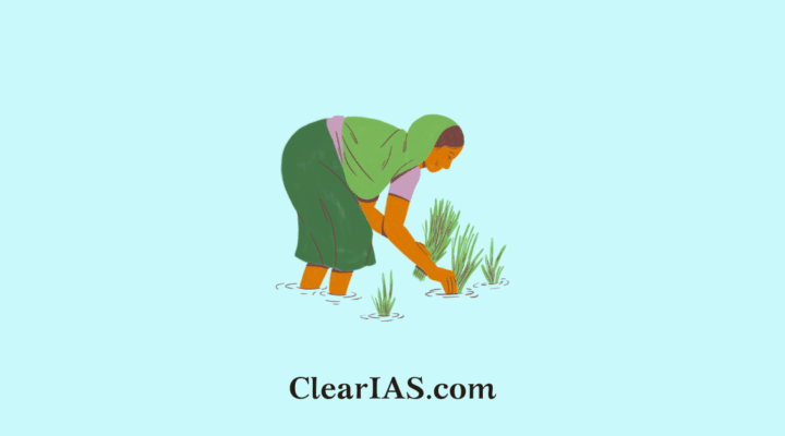 Women Farmers in India