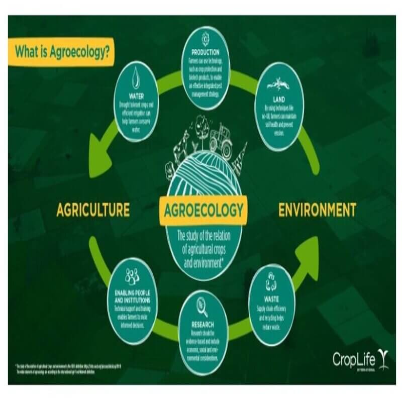 ZBNF agroecology