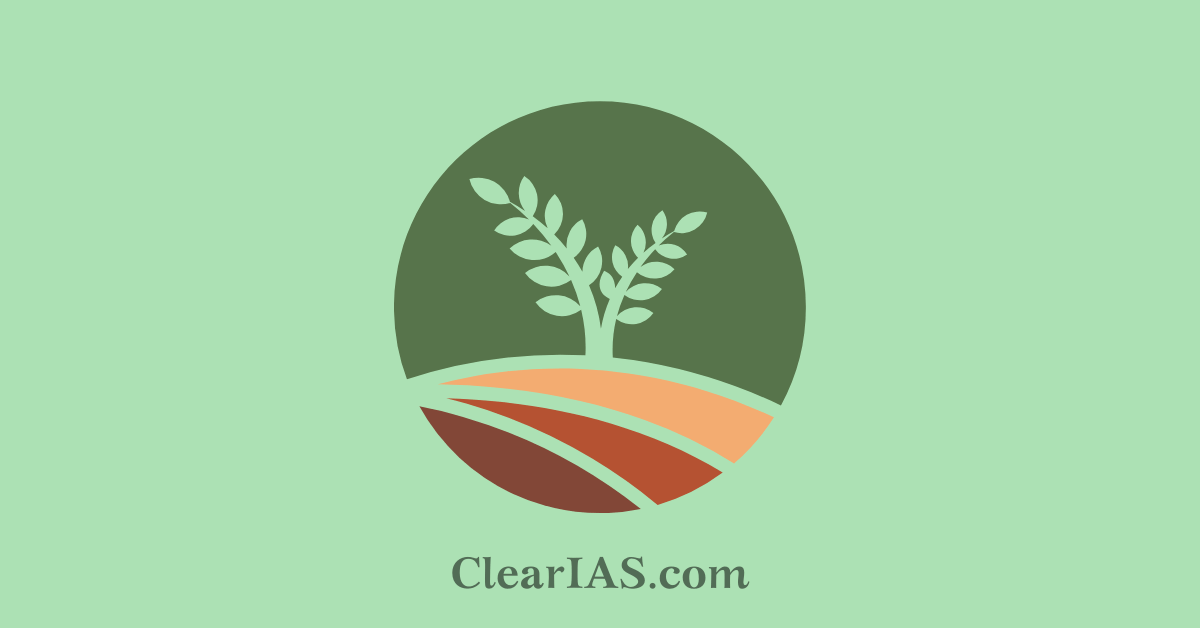 agroforestry