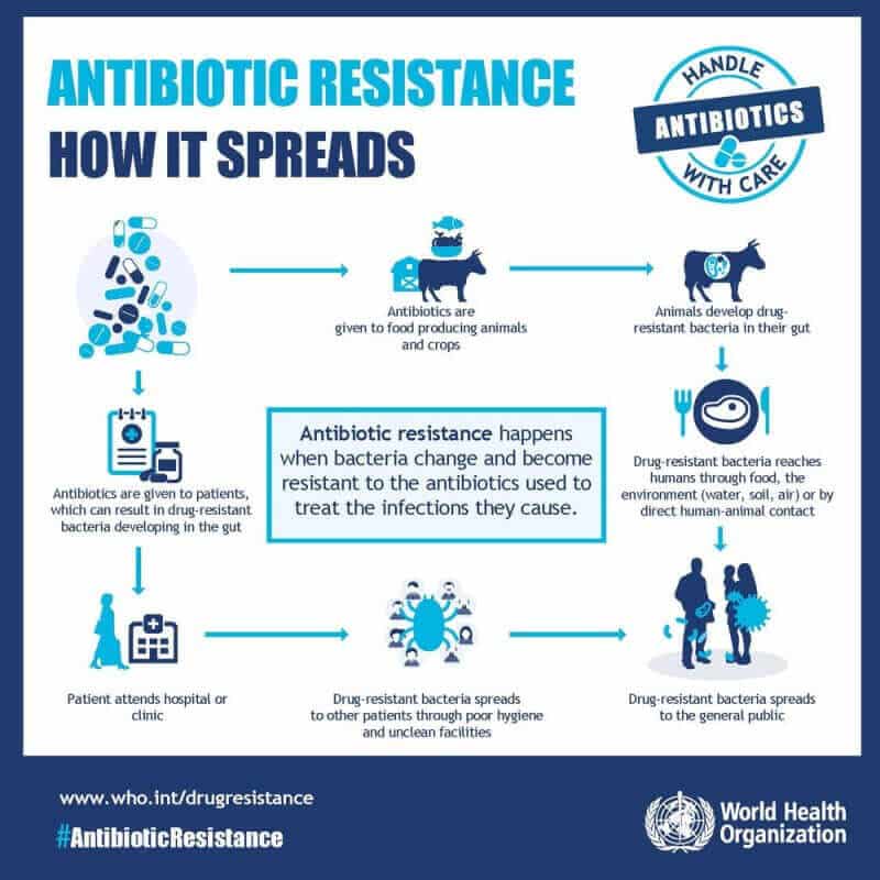 Anti-Microbial Resistance (AMR)