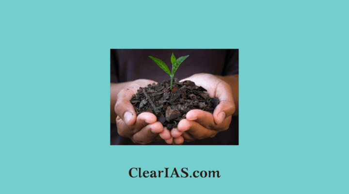 biochar